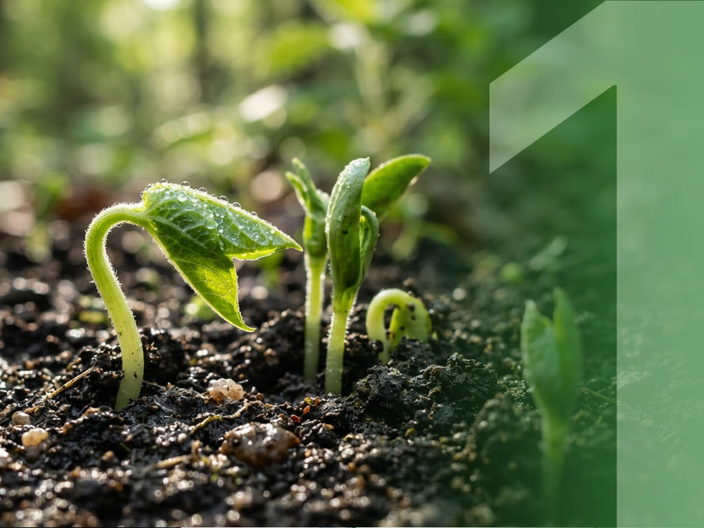 Compliance-first compostable packaging manufacturing