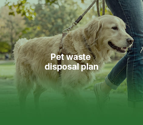 Compostable packaging in pet retail use