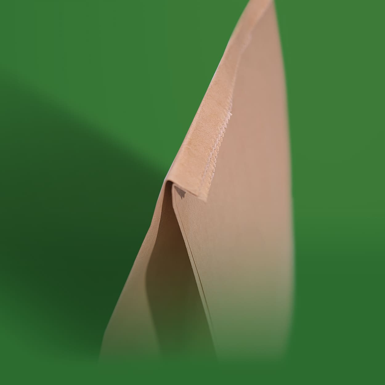 Compostable paper bag handle strength detail